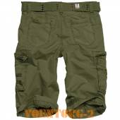 ����� ROYAL | ���� Olive